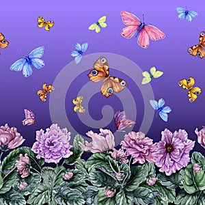 Beautiful African violet flowers and flying butterflies on purple background. Seamless floral pattern. Watercolor painting.