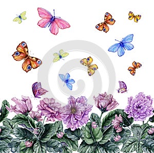 Beautiful African violet flowers and flying butterflies on white background. Seamless floral pattern. Watercolor painting.