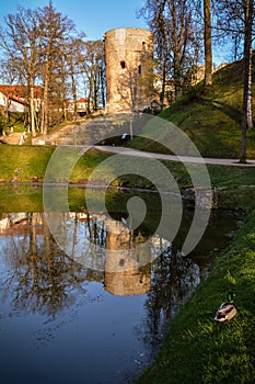 Beautiful afternoon light in park with old castle ruins