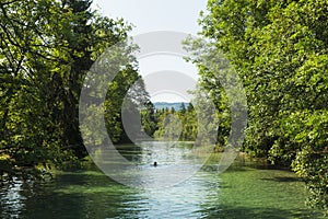 Beautiful Ager river in Austria in the summer and the colour photo