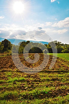 Beautiful agricolture landscape