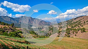 Beautiful agricultural fields in highlands, Field irrigation system photo