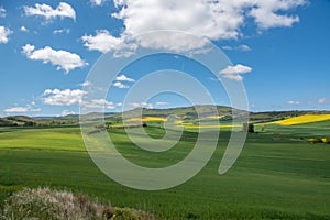 Beautiful agricultural landscape on the Way of St. James, Camino de Santiago between Ciruena and Santo Domingo de la Calzada in La photo