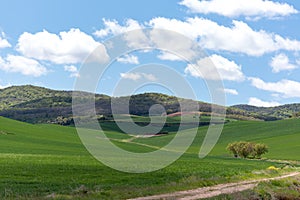 Beautiful agricultural landscape on the Way of St. James, Camino de Santiago between Ciruena and Santo Domingo de la Calzada in La photo