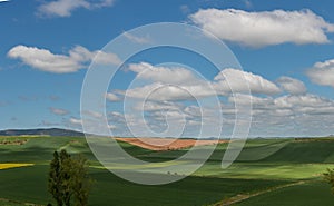 Beautiful agricultural landscape on the Way of St. James, Camino de Santiago between Ciruena and Santo Domingo de la Calzada in La photo