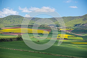 Beautiful agricultural landscape on the Way of St. James, Camino de Santiago between Ciruena and Santo Domingo de la Calzada in La photo