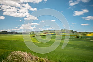 Beautiful agricultural landscape on the Way of St. James, Camino de Santiago between Ciruena and Santo Domingo de la Calzada in La photo