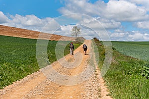 Beautiful agricultural landscape on the Way of St. James, Camino de Santiago between Ciruena and Santo Domingo de la Calzada in La photo