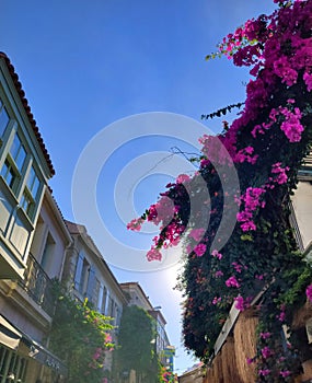 beautiful Alacati street views