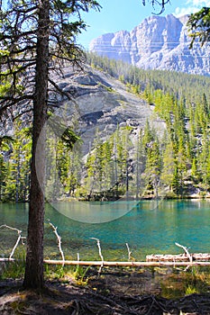 BEAUTIFUL ALBERTA SCENE