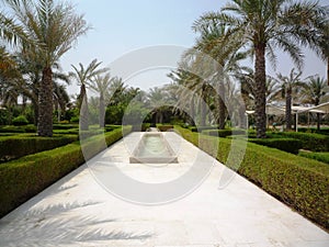 Beautiful alley with palm trees standing in rows, long water line with small stone fountain