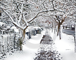 Beautiful alley in snowy day