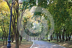 Beautiful alley with trees in Romanescu park on a sunny day, Craiova City, Romania