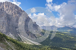 Beautiful alp view with mountains and forest