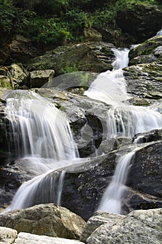 Beautiful alpine brook