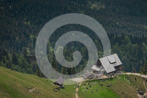 Beautiful alpine hut on Golica mountain visible from above. Nice forest in the background. Slovenian alpine cottages surrounded by