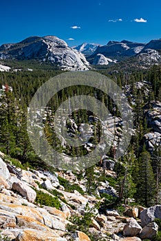 Beautiful alpine landscape along the picturesque Tioga Pass, California, USA.