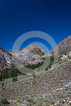 Beautiful alpine landscape along the picturesque Tioga Pass, California, USA.