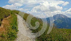 Beautiful alpine landscape with green meadows, alpine cottages and mountain peaks, Lechtal, Lech, Austria