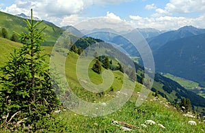 Beautiful alpine landscape with green meadows, alpine cottages and mountain peaks, Lechtal, Lech, Austria