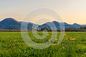 Beautiful alpine meadow in a mountain valley at sunset