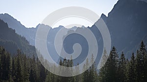 Beautiful alpine valley with forest and sharp stone walls and peaks , Europe, Slovakia