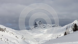 Beautiful Alps mountain lanscape fir trees and rocks under snow