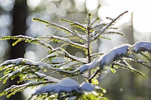 Beautiful amazing Christmas winter mountain landscape. Small you