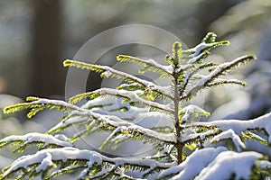 Beautiful amazing Christmas winter mountain landscape. Small you