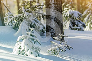 Beautiful amazing Christmas winter mountain landscape. Small you