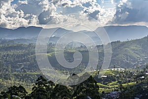 Beautiful amazing landscape of the huge green valley of the tea plantations surrounded by mountains