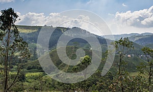 Beautiful amazing landscape view with tea plantations and mountains