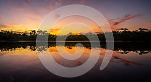 beautiful amazon river during a perfect sunrise