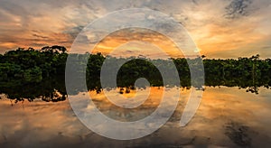 beautiful amazon river during a perfect sunrise in high resolution and high sharpness