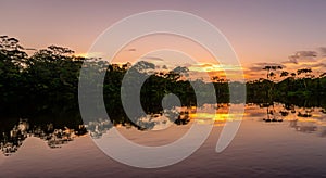 beautiful amazon river during a perfect sunrise in high resolution and sharpness