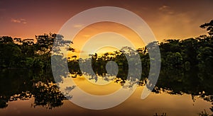 beautiful amazon river during a sunset