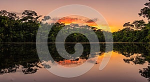 beautiful amazon river during a sunset in high resolution