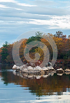 Beautiful american nature landscape. The tree reflection in the