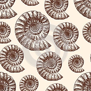 Beautiful ammonite fossils seamles pattern sketck photo