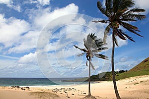 Beautiful Anakena Beach, with golden sand & tropical palm trees, Easter Island, Chile