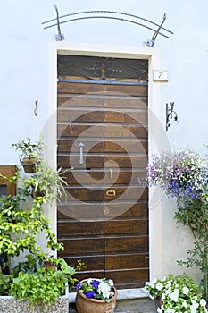 Beautiful ancient brown wooden door across blue wall close-up covered with different plants in vases. Building exterior, facade