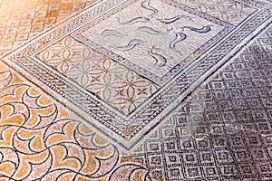 Beautiful Ancient Mosaic in Roman ruins of Volubilis, Unesco, Me