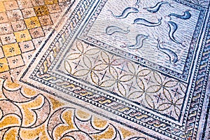 Beautiful Ancient Mosaic in Roman ruins of Volubilis, Unesco, Meknes, Morocco