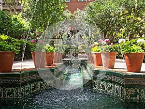 Beautiful Andalusian gardens of Sorolla Museum photo