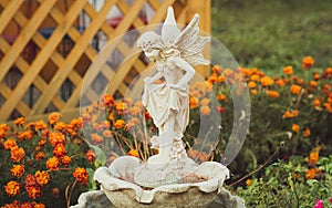 Beautiful angel statue in the garden
