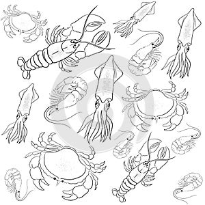 Beautiful Animals Set Seafish animal vector illustration