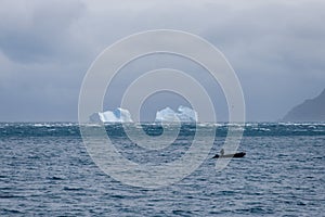 Beautiful antarctic landscape with iceberg and mountains