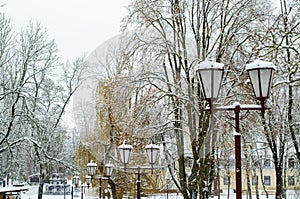 beautiful antique street lamp covered with snow. Many lampposts along the alley in the park. Winter landscape. Calm frosty day