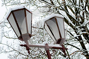 beautiful antique street lamp covered with snow. Many lampposts along the alley in the park. Winter landscape. Calm frosty day