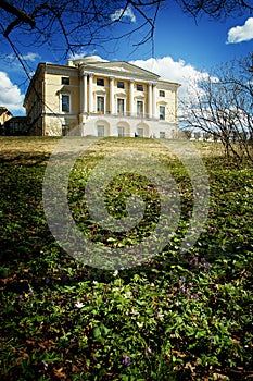 A beautiful antique yellow mansion stands on a hill in the park, in the foreground there are spring flowers blossoming